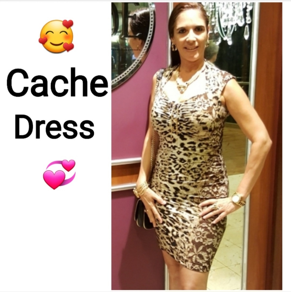 Cache Leopard Print Bodycon Women's Dress with Gold Tie Tassel, Size S - Picture 2 of 12